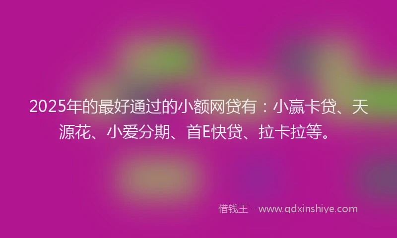2025年的最好通过的小额网贷有：小赢卡贷、天源花、小爱分期、首E快贷、拉卡拉等。