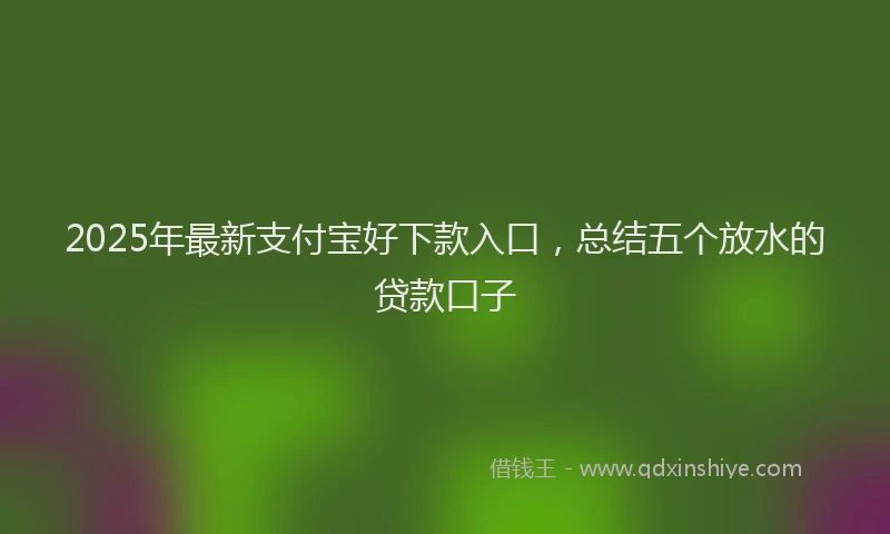 2025年最新支付宝好下款入口，总结五个放水的贷款口子