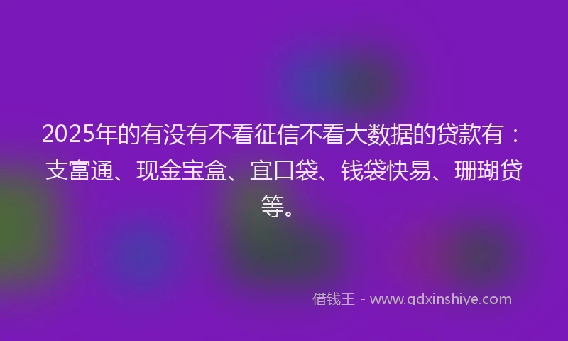 2025年的有没有不看征信不看大数据的贷款有：支富通、现金宝盒、宜口袋、钱袋快易、珊瑚贷等。