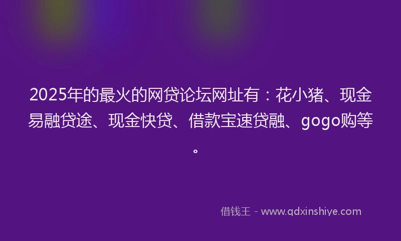 2025年的最火的网贷论坛网址有：花小猪、现金易融贷途、现金快贷、借款宝速贷融、gogo购等。