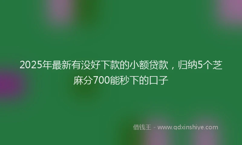 2025年最新有没好下款的小额贷款，归纳5个芝麻分700能秒下的口子