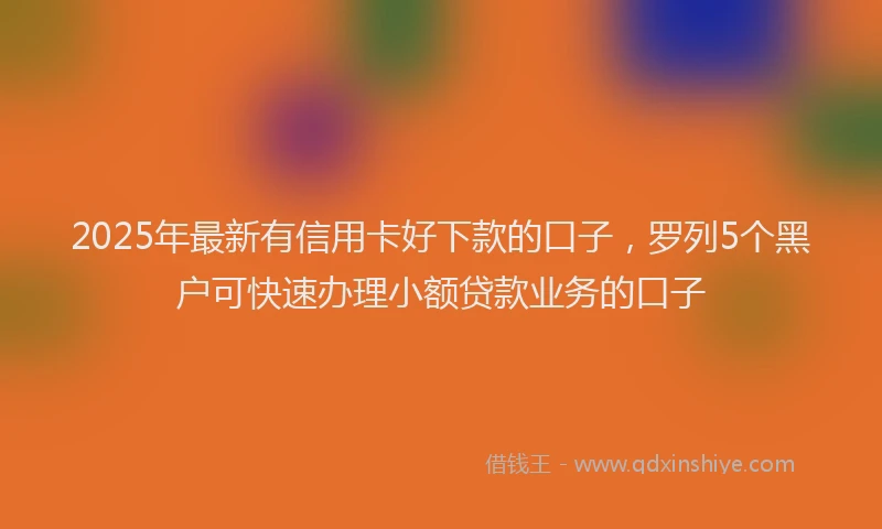 2025年最新有信用卡好下款的口子，罗列5个黑户可快速办理小额贷款业务的口子