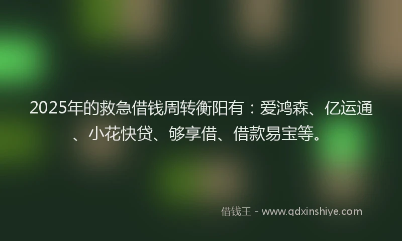 2025年的救急借钱周转衡阳有：爱鸿森、亿运通、小花快贷、够享借、借款易宝等。