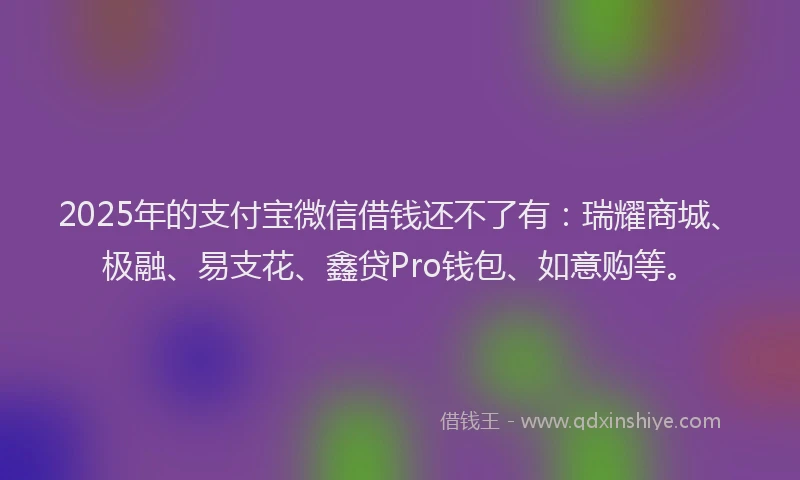 2025年的支付宝微信借钱还不了有：瑞耀商城、极融、易支花、鑫贷Pro钱包、如意购等。