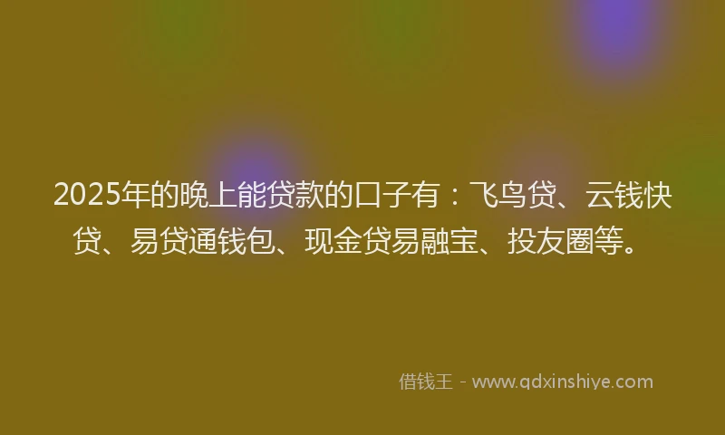 2025年的晚上能贷款的口子有：飞鸟贷、云钱快贷、易贷通钱包、现金贷易融宝、投友圈等。