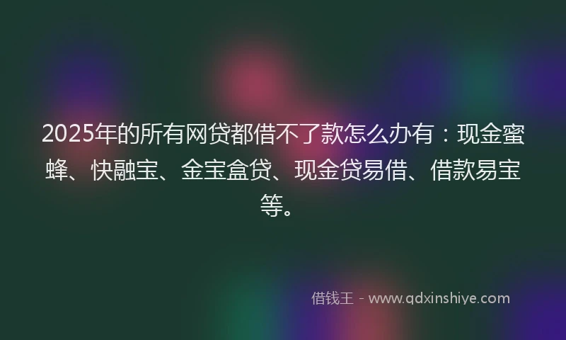 2025年的所有网贷都借不了款怎么办有：现金蜜蜂、快融宝、金宝盒贷、现金贷易借、借款易宝等。