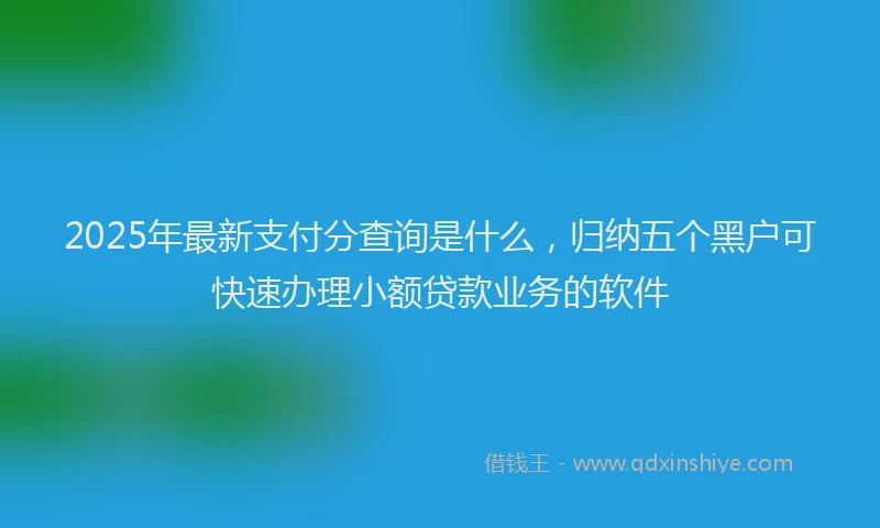 2025年最新支付分查询是什么，归纳五个黑户可快速办理小额贷款业务的软件