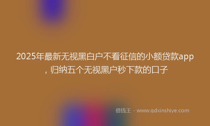 2025年最新无视黑白户不看征信的小额贷款app，归纳五个无视黑户秒下款的口子