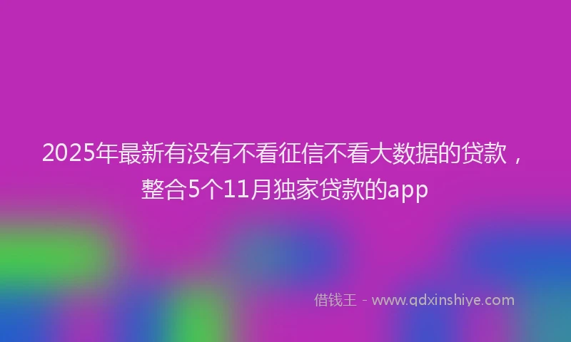 2025年最新有没有不看征信不看大数据的贷款，整合5个11月独家贷款的app
