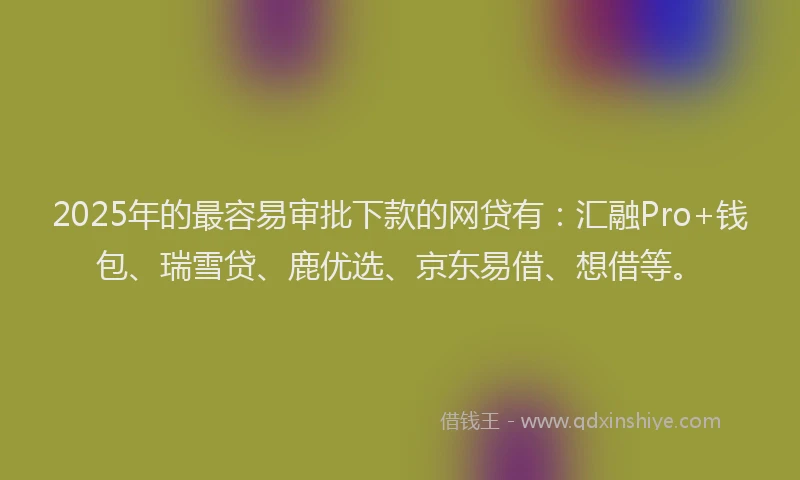 2025年的最容易审批下款的网贷有：汇融Pro+钱包、瑞雪贷、鹿优选、京东易借、想借等。