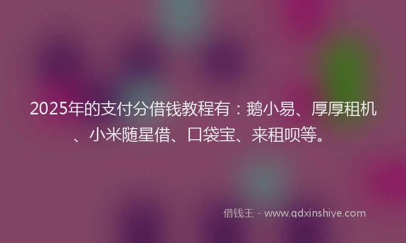 2025年的支付分借钱教程有：鹅小易、厚厚租机、小米随星借、口袋宝、来租呗等。