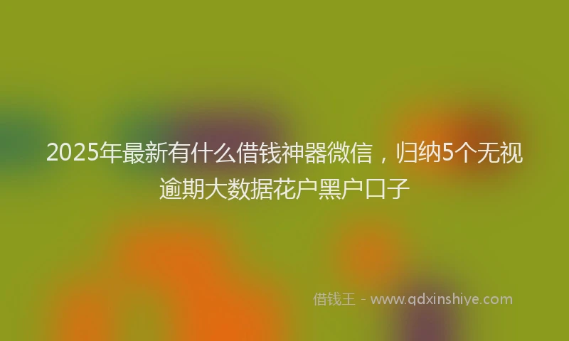 2025年最新有什么借钱神器微信,归纳5个无视逾期大数据花户黑户口子