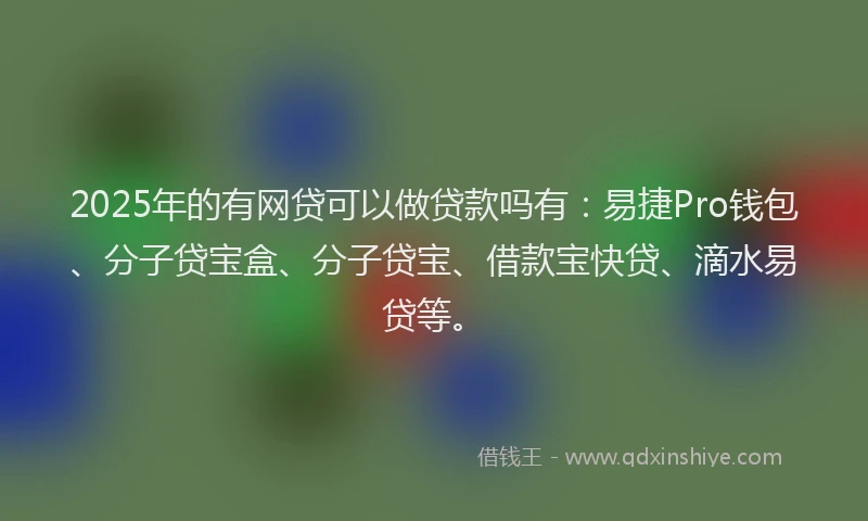 2025年的有网贷可以做贷款吗有：易捷Pro钱包、分子贷宝盒、分子贷宝、借款宝快贷、滴水易贷等。