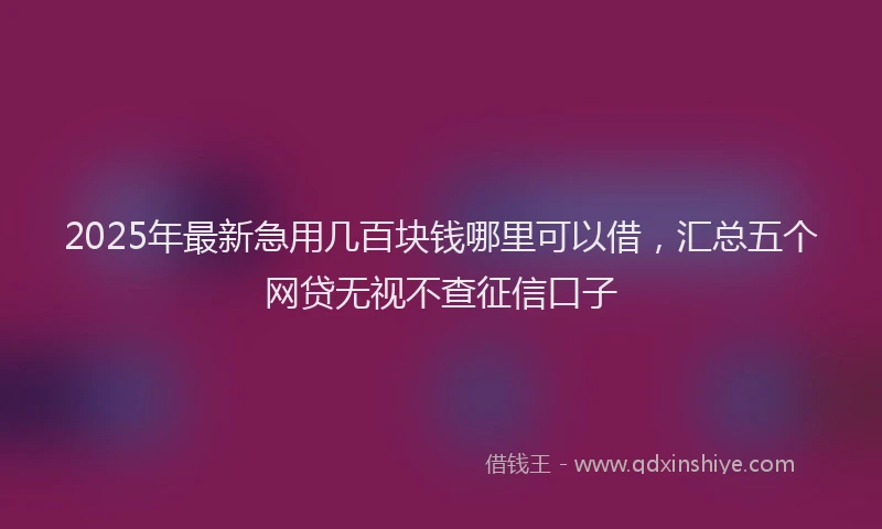 2025年最新急用几百块钱哪里可以借，汇总五个网贷无视不查征信口子
