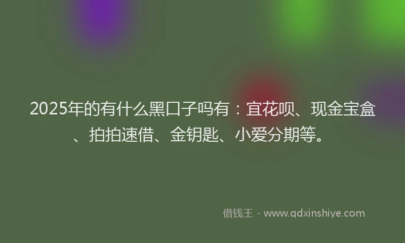 2025年的有什么黑口子吗有：宜花呗、现金宝盒、拍拍速借、金钥匙、小爱分期等。