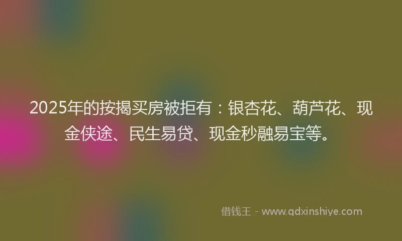 2025年的按揭买房被拒有：银杏花、葫芦花、现金侠途、民生易贷、现金秒融易宝等。
