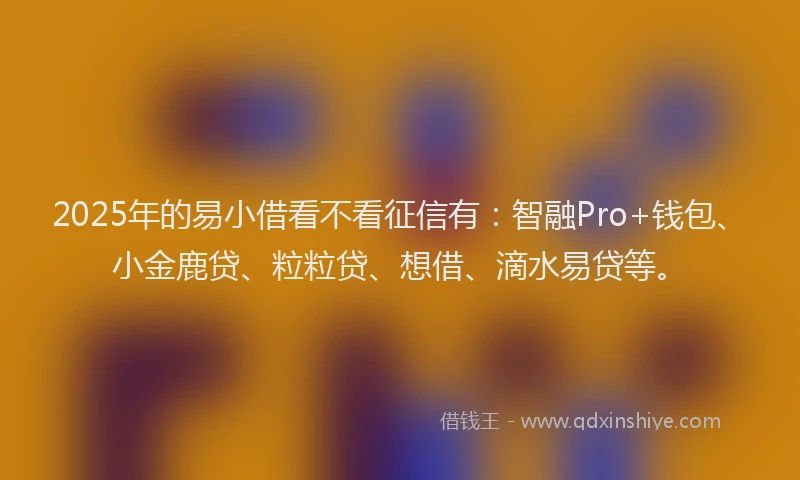 2025年的易小借看不看征信有：智融Pro+钱包、小金鹿贷、粒粒贷、想借、滴水易贷等。