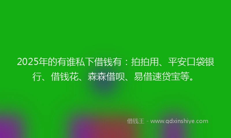 2025年的有谁私下借钱有：拍拍用、平安口袋银行、借钱花、森森借呗、易借速贷宝等。