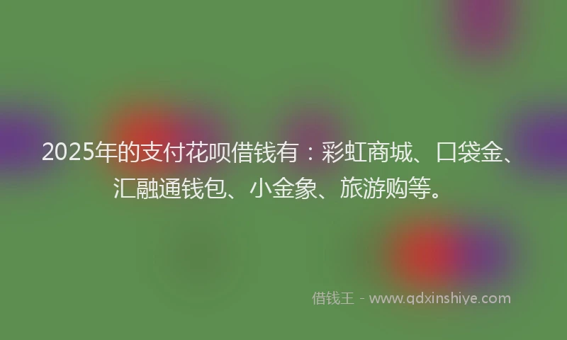 2025年的支付花呗借钱有：彩虹商城、口袋金、汇融通钱包、小金象、旅游购等。