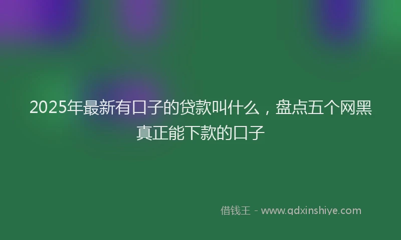 2025年最新有口子的贷款叫什么，盘点五个网黑真正能下款的口子