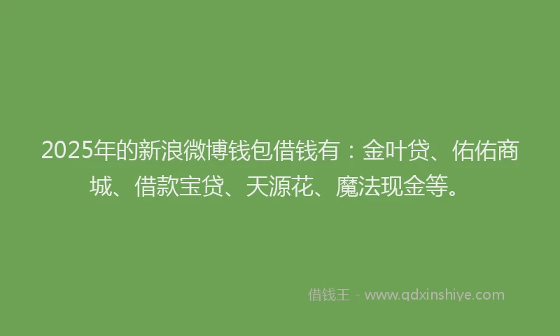 2025年的新浪微博钱包借钱有：金叶贷、佑佑商城、借款宝贷、天源花、魔法现金等。