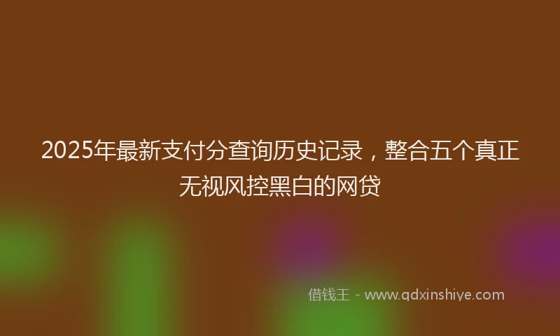 2025年最新支付分查询历史记录，整合五个真正无视风控黑白的网贷