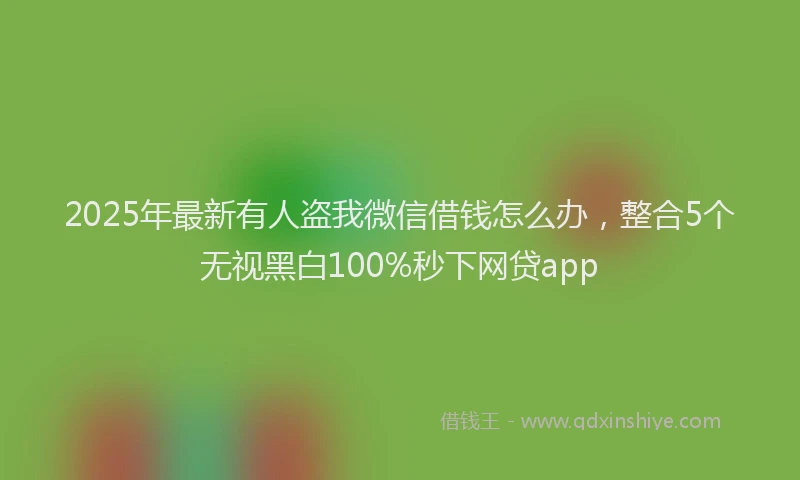 2025年最新有人盗我微信借钱怎么办，整合5个无视黑白100%秒下网贷app