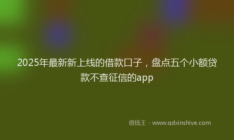 2025年最新新上线的借款口子，盘点五个小额贷款不查征信的app