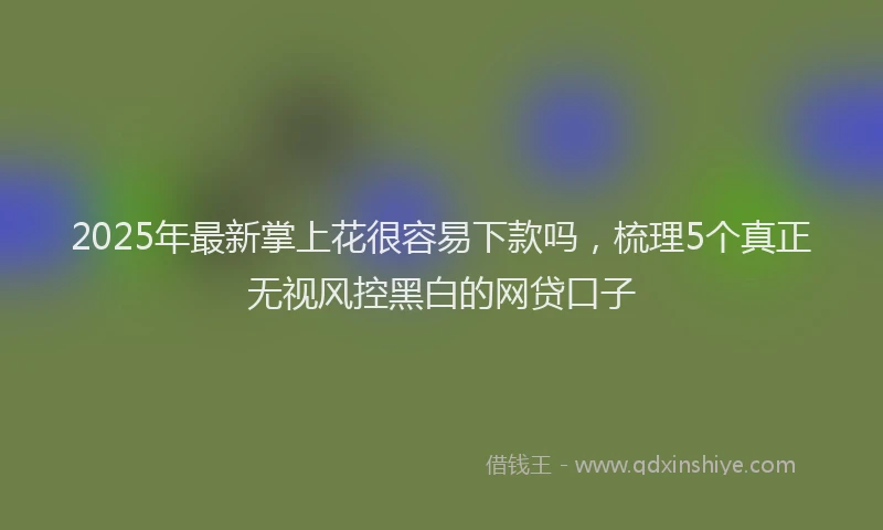 2025年最新掌上花很容易下款吗，梳理5个真正无视风控黑白的网贷口子