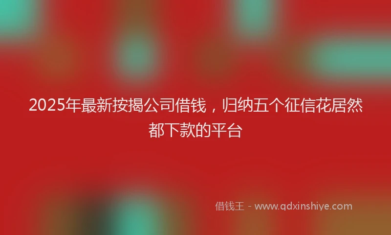 2025年最新按揭公司借钱，归纳五个征信花居然都下款的平台