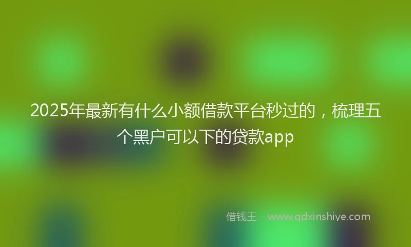 2025年最新有什么小额借款平台秒过的，梳理五个黑户可以下的贷款app