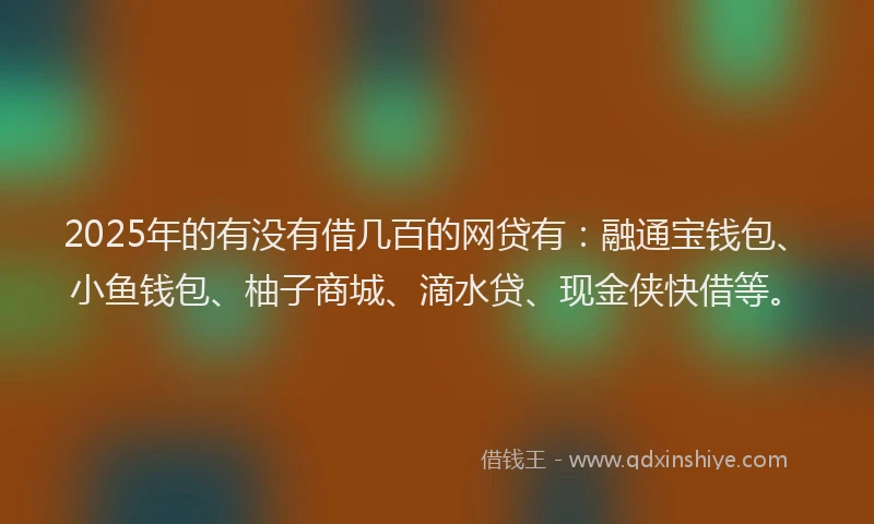 2025年的有没有借几百的网贷有：融通宝钱包、小鱼钱包、柚子商城、滴水贷、现金侠快借等。