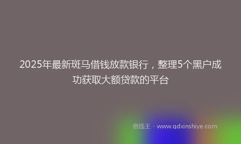2025年最新斑马借钱放款银行，整理5个黑户成功获取大额贷款的平台