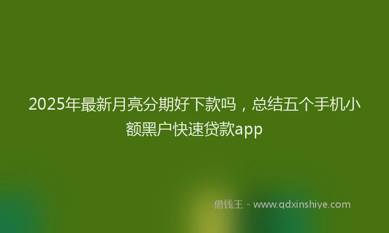 2025年最新月亮分期好下款吗，总结五个手机小额黑户快速贷款app