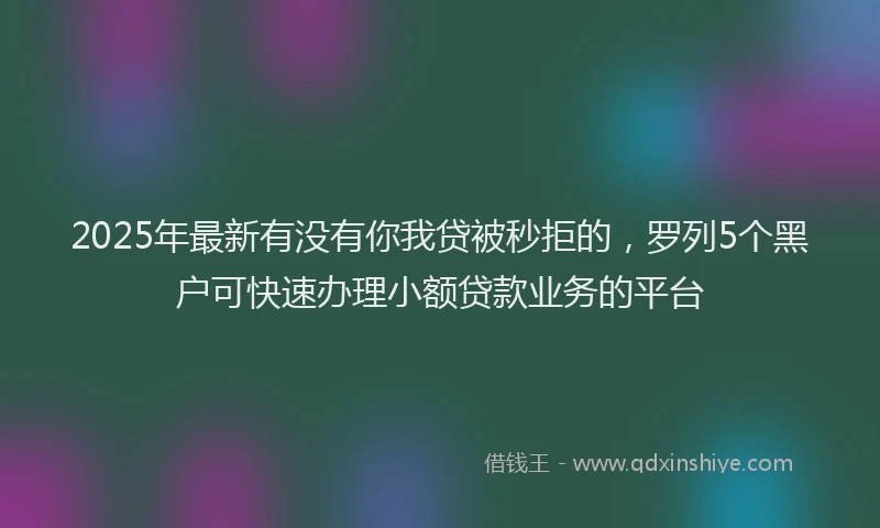 2025年最新有没有你我贷被秒拒的，罗列5个黑户可快速办理小额贷款业务的平台