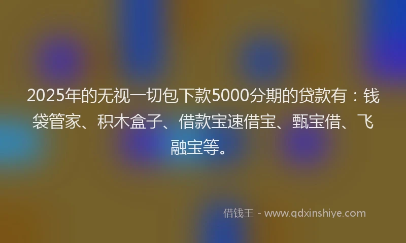 2025年的无视一切包下款5000分期的贷款有：钱袋管家、积木盒子、借款宝速借宝、甄宝借、飞融宝等。