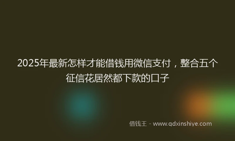 2025年最新怎样才能借钱用微信支付，整合五个征信花居然都下款的口子