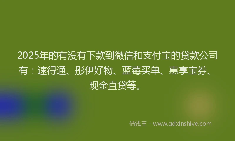2025年的有没有下款到微信和支付宝的贷款公司有：速得通、彤伊好物、蓝莓买单、惠享宝券、现金直贷等。