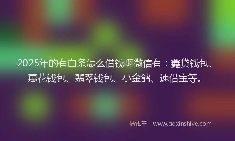 2025年的有白条怎么借钱啊微信有：鑫贷钱包、惠花钱包、翡翠钱包、小金鸽、速借宝等。
