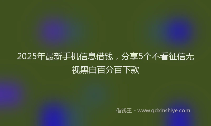 2025年最新手机信息借钱，分享5个不看征信无视黑白百分百下款