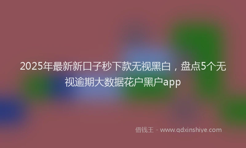 2025年最新新口子秒下款无视黑白，盘点5个无视逾期大数据花户黑户app