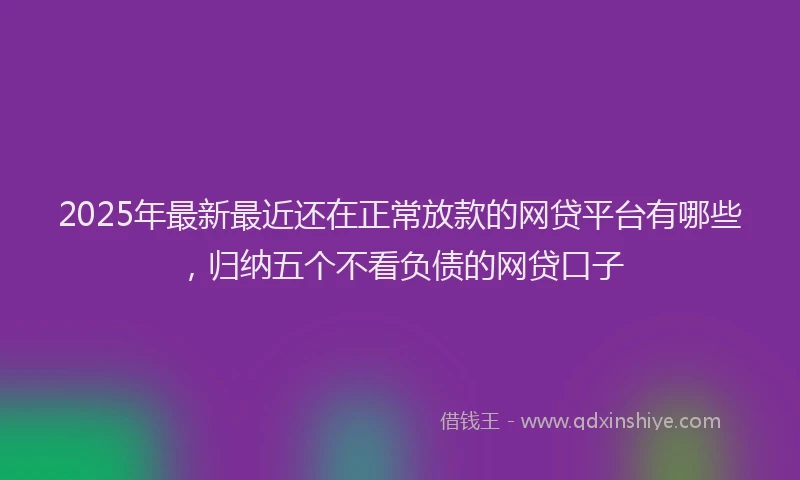 2025年最新最近还在正常放款的网贷平台有哪些，归纳五个不看负债的网贷口子