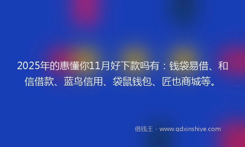 2025年的惠懂你11月好下款吗有：钱袋易借、和信借款、蓝鸟信用、袋鼠钱包、匠也商城等。