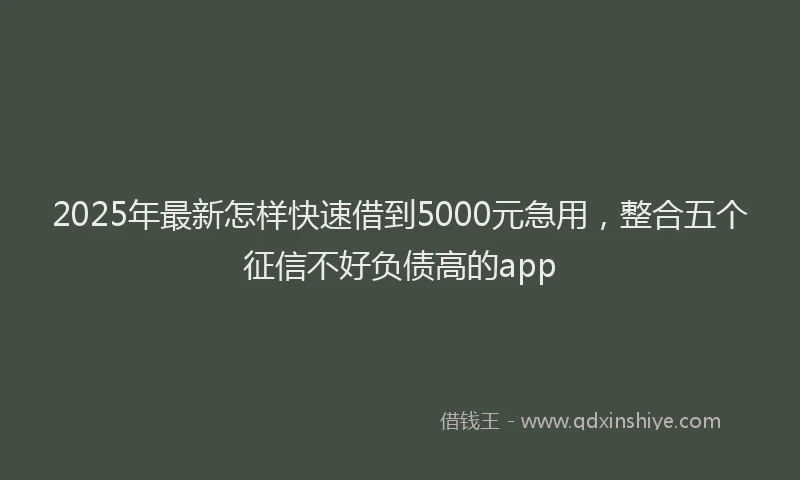 2025年最新怎样快速借到5000元急用，整合五个征信不好负债高的app
