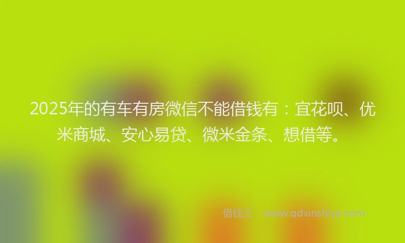 2025年的有车有房微信不能借钱有：宜花呗、优米商城、安心易贷、微米金条、想借等。
