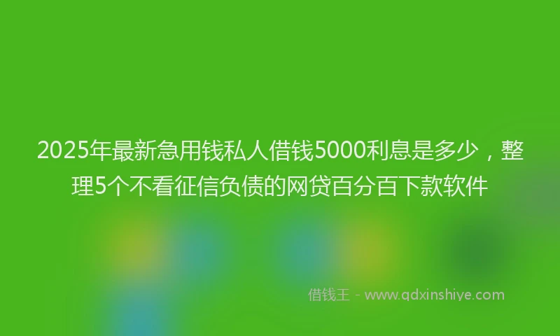 2025年最新急用钱私人借钱5000利息是多少，整理5个不看征信负债的网贷百分百下款软件
