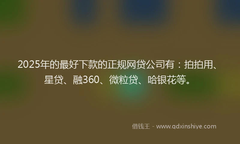 2025年的最好下款的正规网贷公司有：拍拍用、星贷、融360、微粒贷、哈银花等。