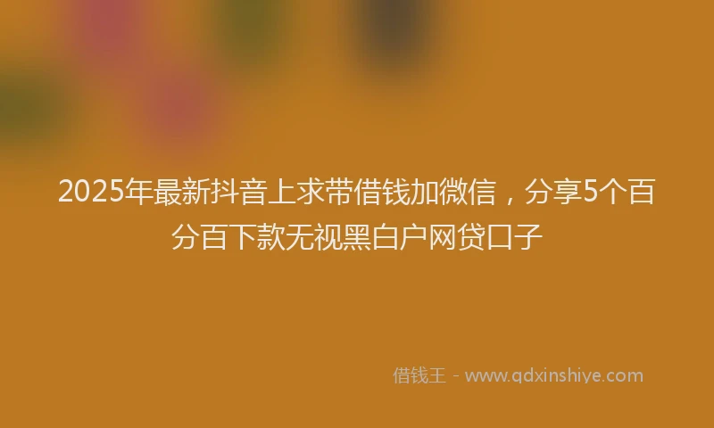 2025年最新抖音上求带借钱加微信，分享5个百分百下款无视黑白户网贷口子