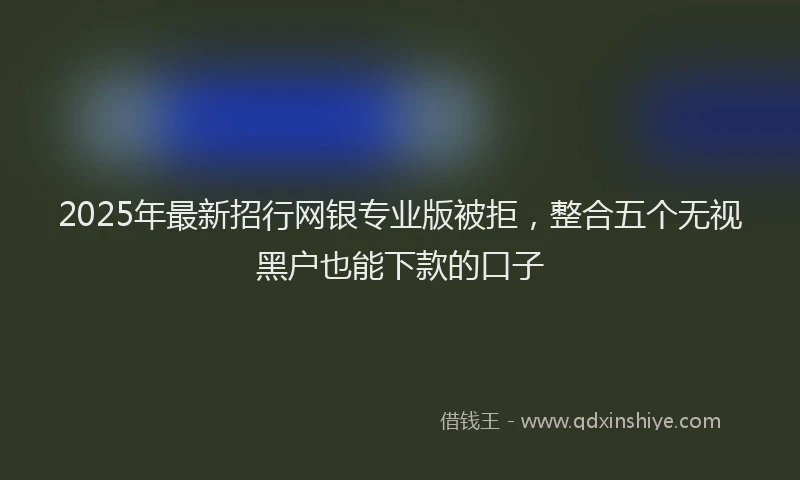 2025年最新招行网银专业版被拒，整合五个无视黑户也能下款的口子