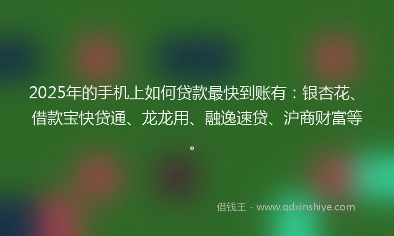 2025年的手机上如何贷款最快到账有：银杏花、借款宝快贷通、龙龙用、融逸速贷、沪商财富等。